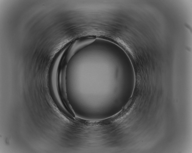 X0000091580581200708271222