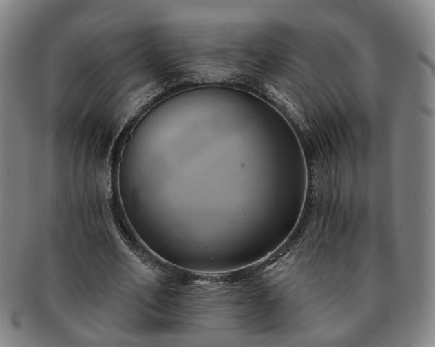 X0000091580582200708271222