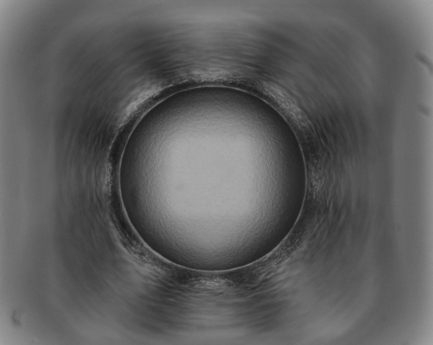 X0000091580583200708271222