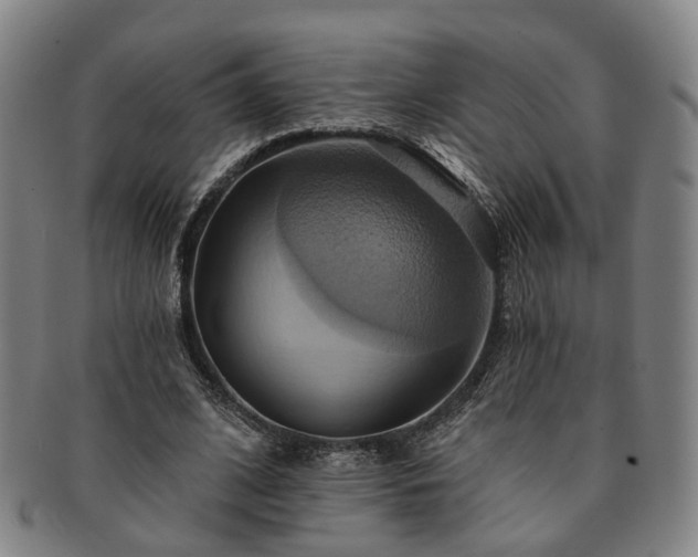 X0000091580584200708271222