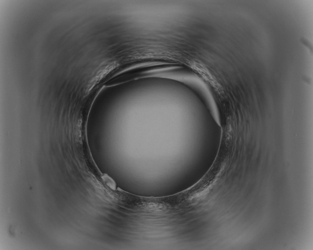 X0000091580585200708271222