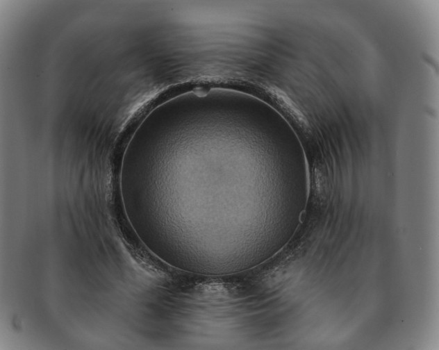 X0000091580588200708271222