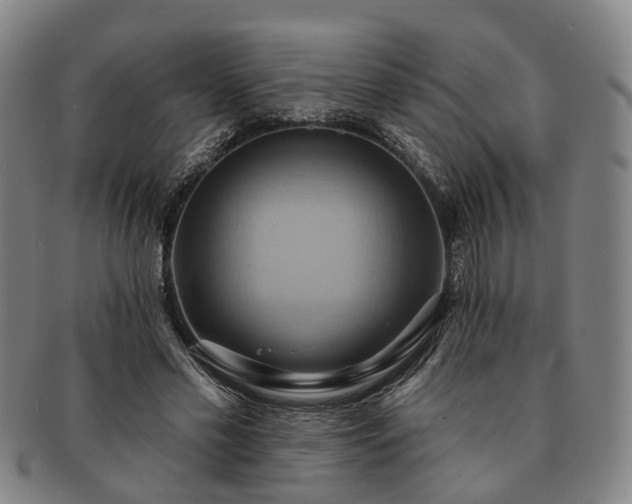 X0000091580589200708271222
