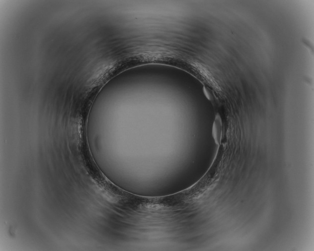 X0000091580590200708271222