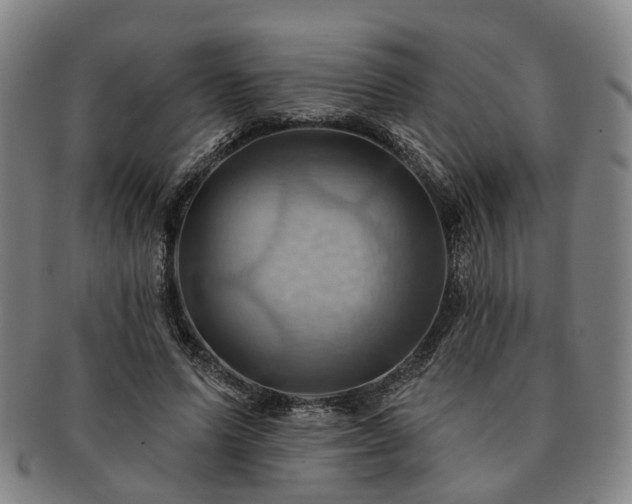 X0000091580591200708271222