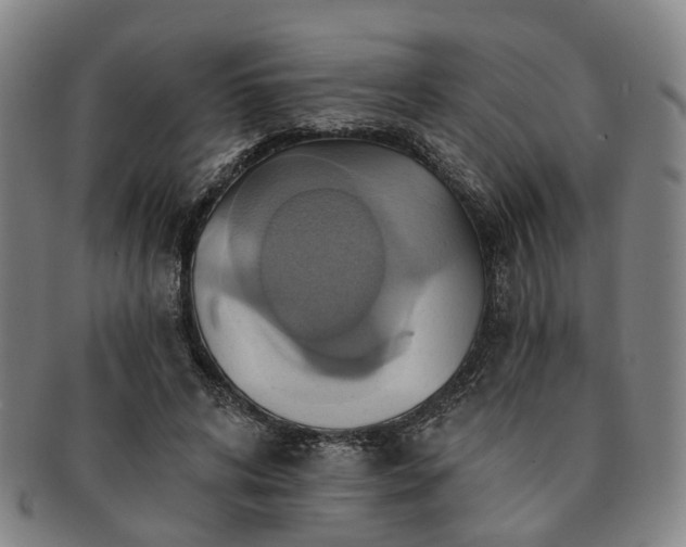 X0000091580592200708271222