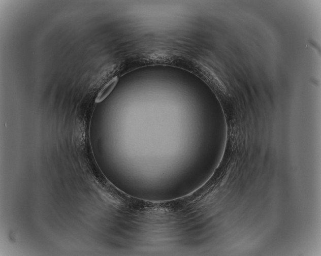 X0000091580593200708271222