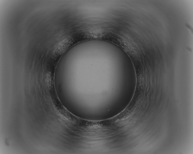 X0000091580594200708271222