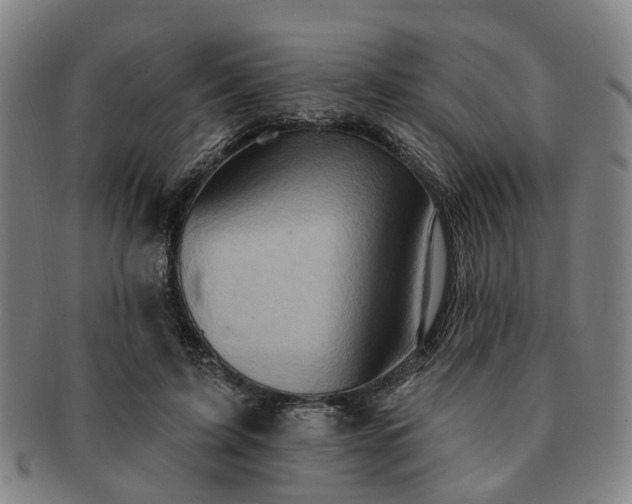 X0000091580595200708271222