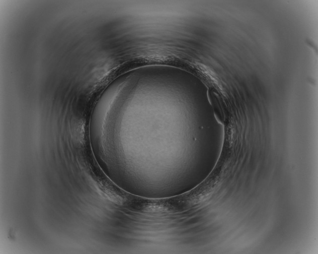 X0000091580596200708271222