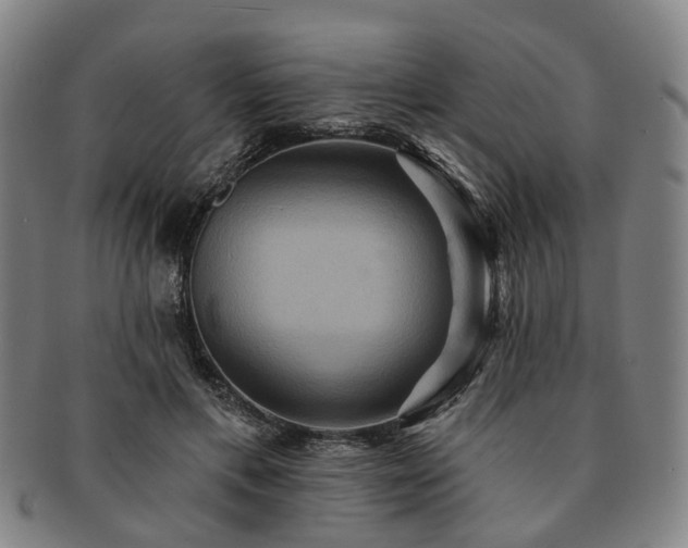 X0000091580597200708271222