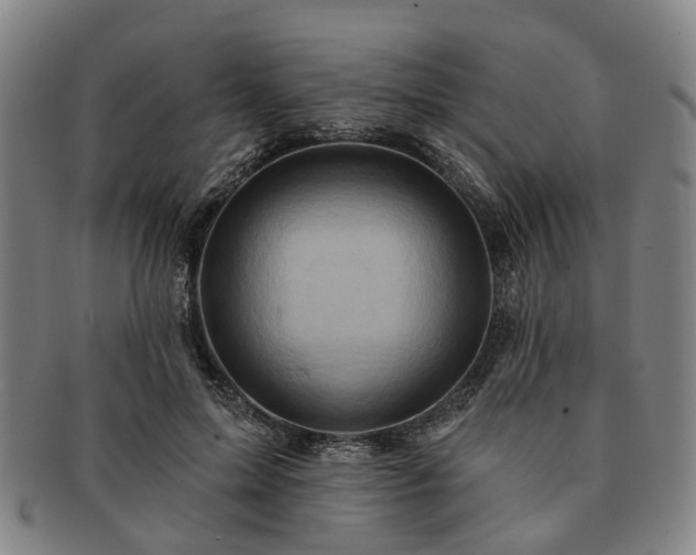 X0000091580599200708271222