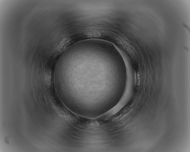 X0000091580600200708271221