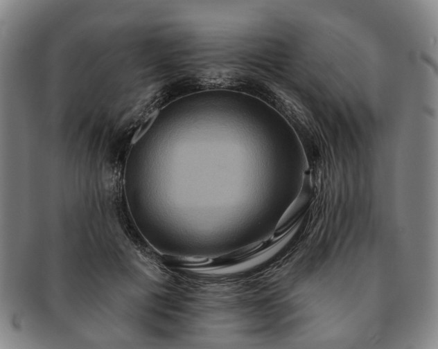 X0000091580601200708271221