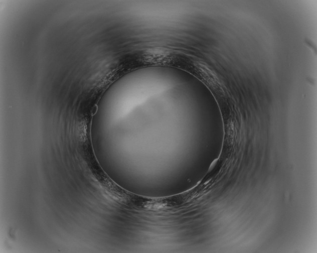 X0000091580602200708271221