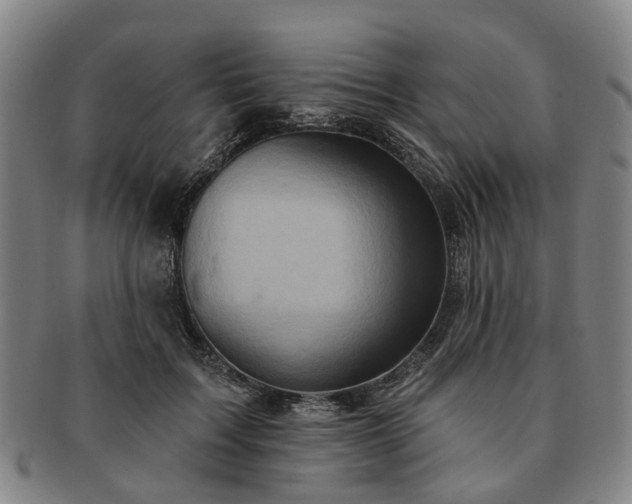 X0000091580603200708271221