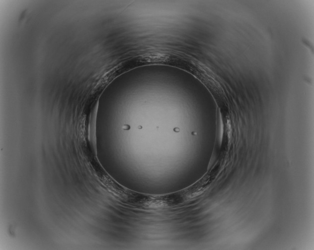 X0000091580604200708271221