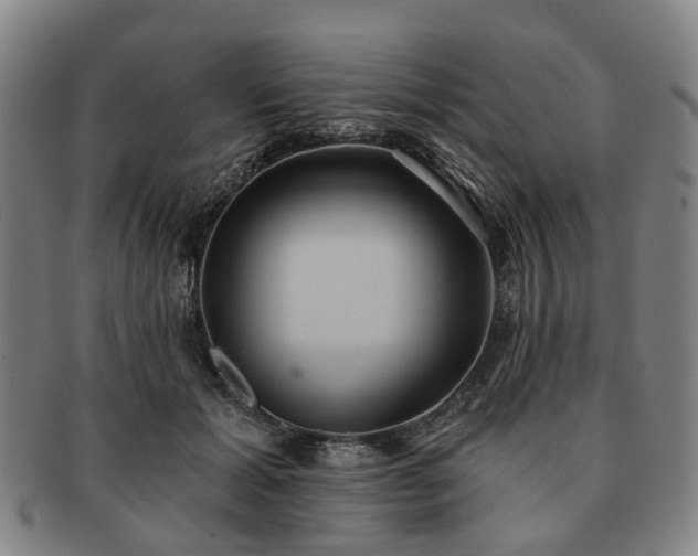 X0000091580605200708271221