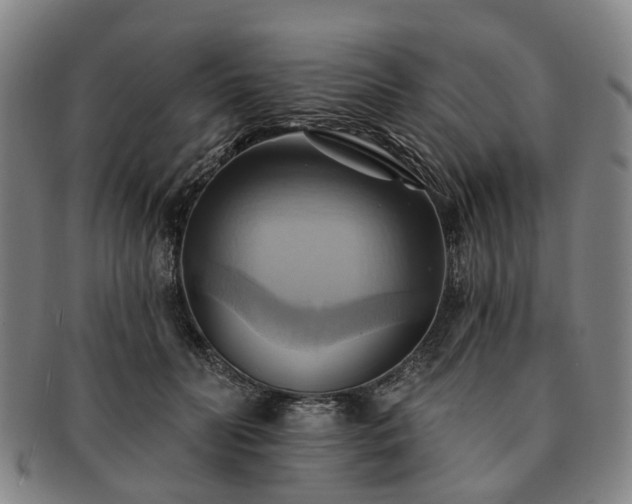 X0000091580606200708271221