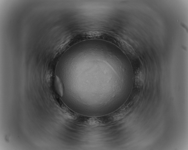 X0000091580608200708271221