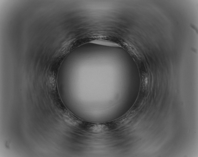 X0000091580609200708271221