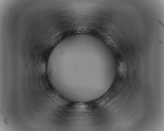 X0000091580610200708271221
