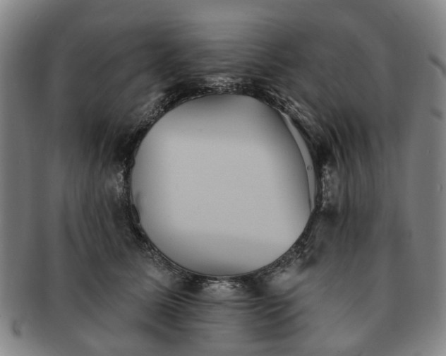 X0000091580611200708271221