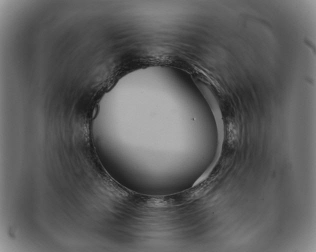 X0000091580613200708271221