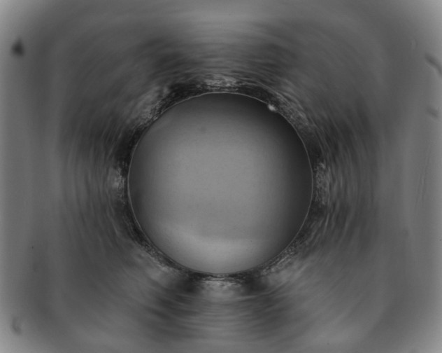 X0000091580614200708271221