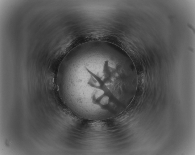 X0000091580615200708271221