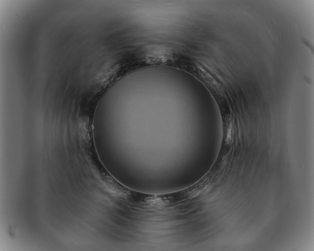 X0000091580616200708271221