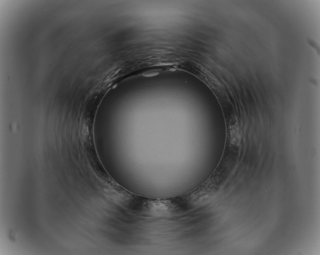 X0000091580618200708271221