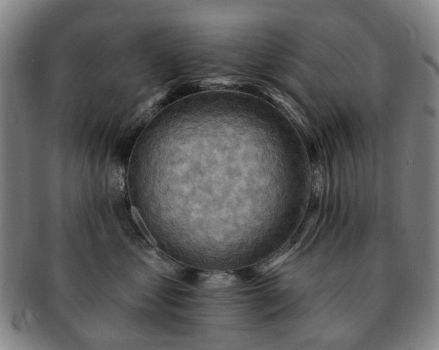 X0000091580621200708271221