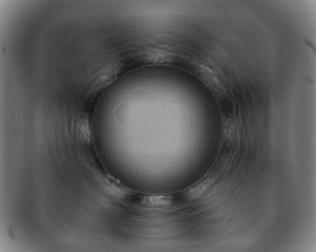 X0000091580622200708271221