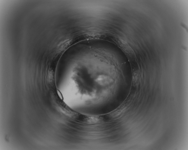 X0000091580623200708271221