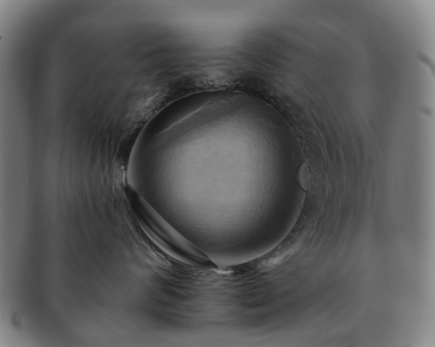 X0000091580624200708271221