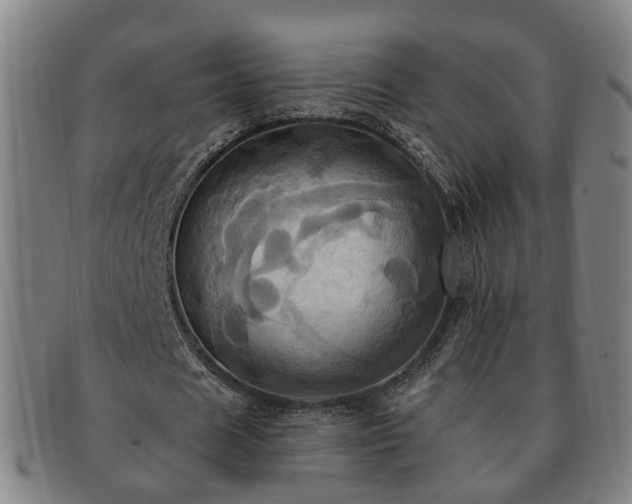 X0000091580625200708271221