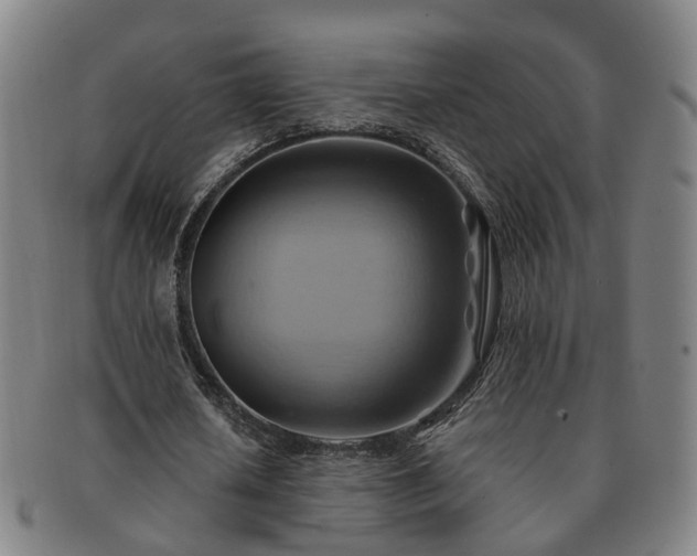 X0000091580626200708271221