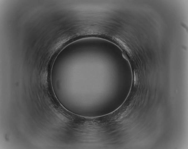 X0000091580627200708271221