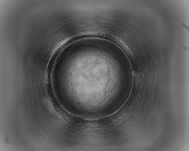 X0000091580628200708271221