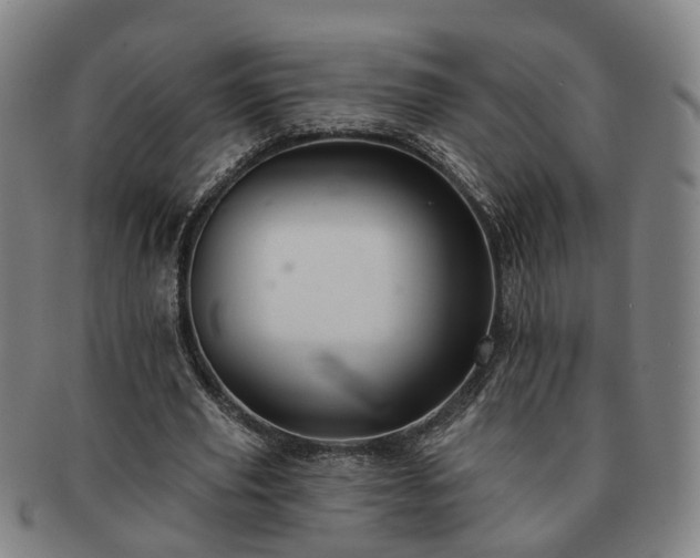 X0000091580629200708271221