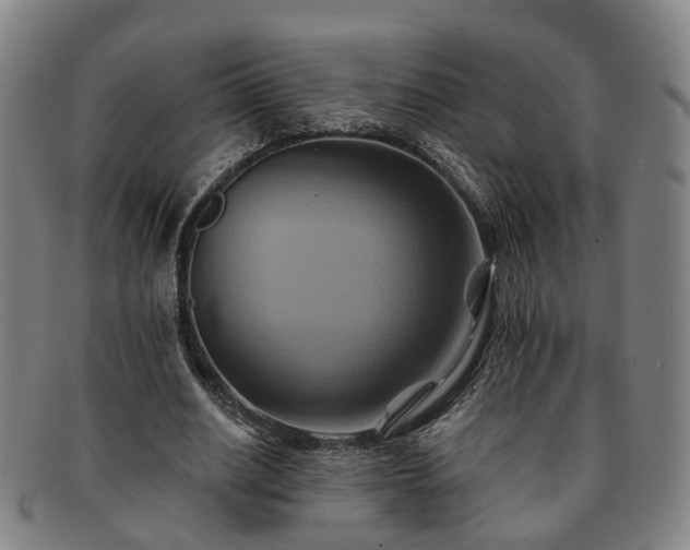 X0000091580630200708271221