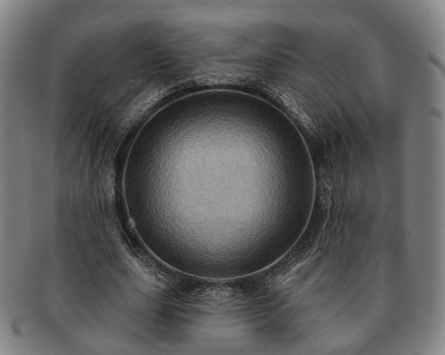 X0000091580631200708271221