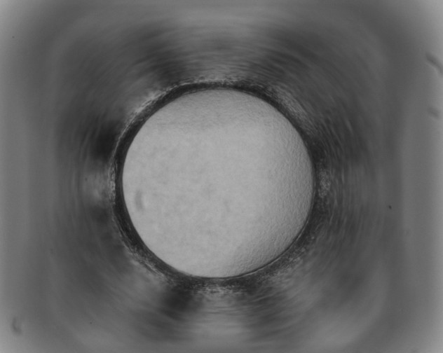 X0000091580632200708271221