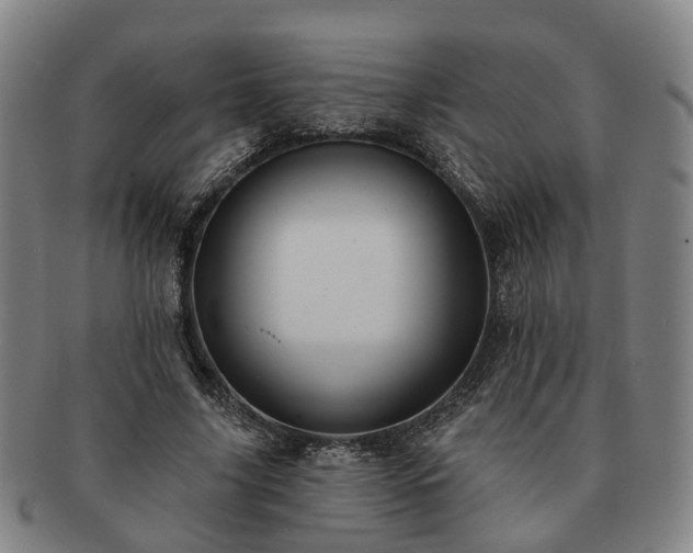 X0000091580635200708271221