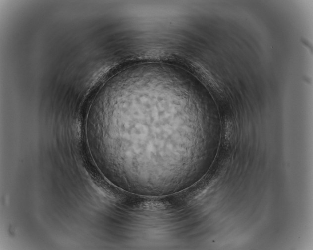 X0000091580636200708271221
