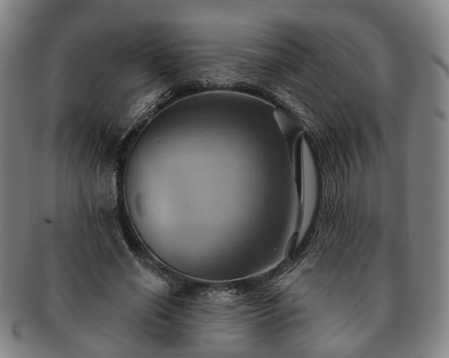 X0000091580638200708271221