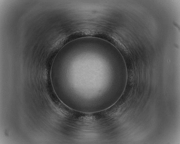 X0000091580639200708271221