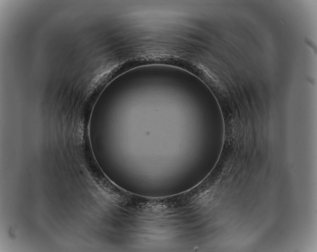 X0000091580640200708271221