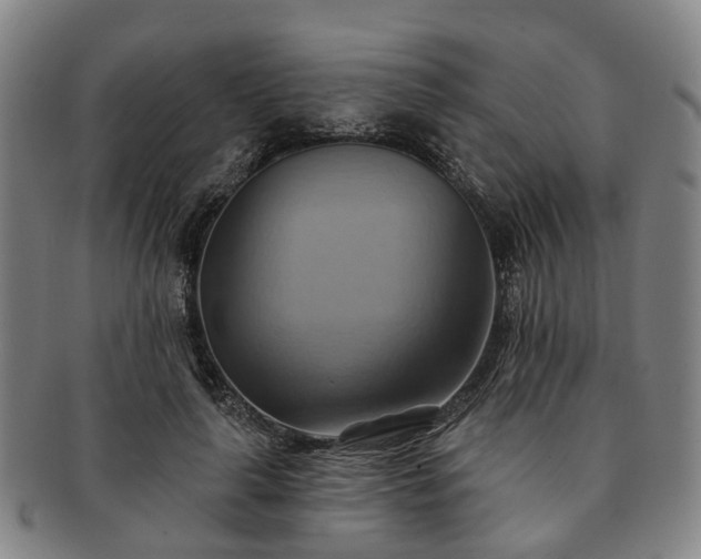 X0000091580643200708271221